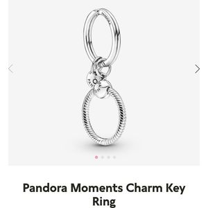 Pandora Key Chain